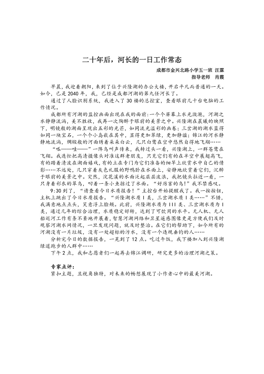 二十年后,河长的一日工作常态(一等奖)