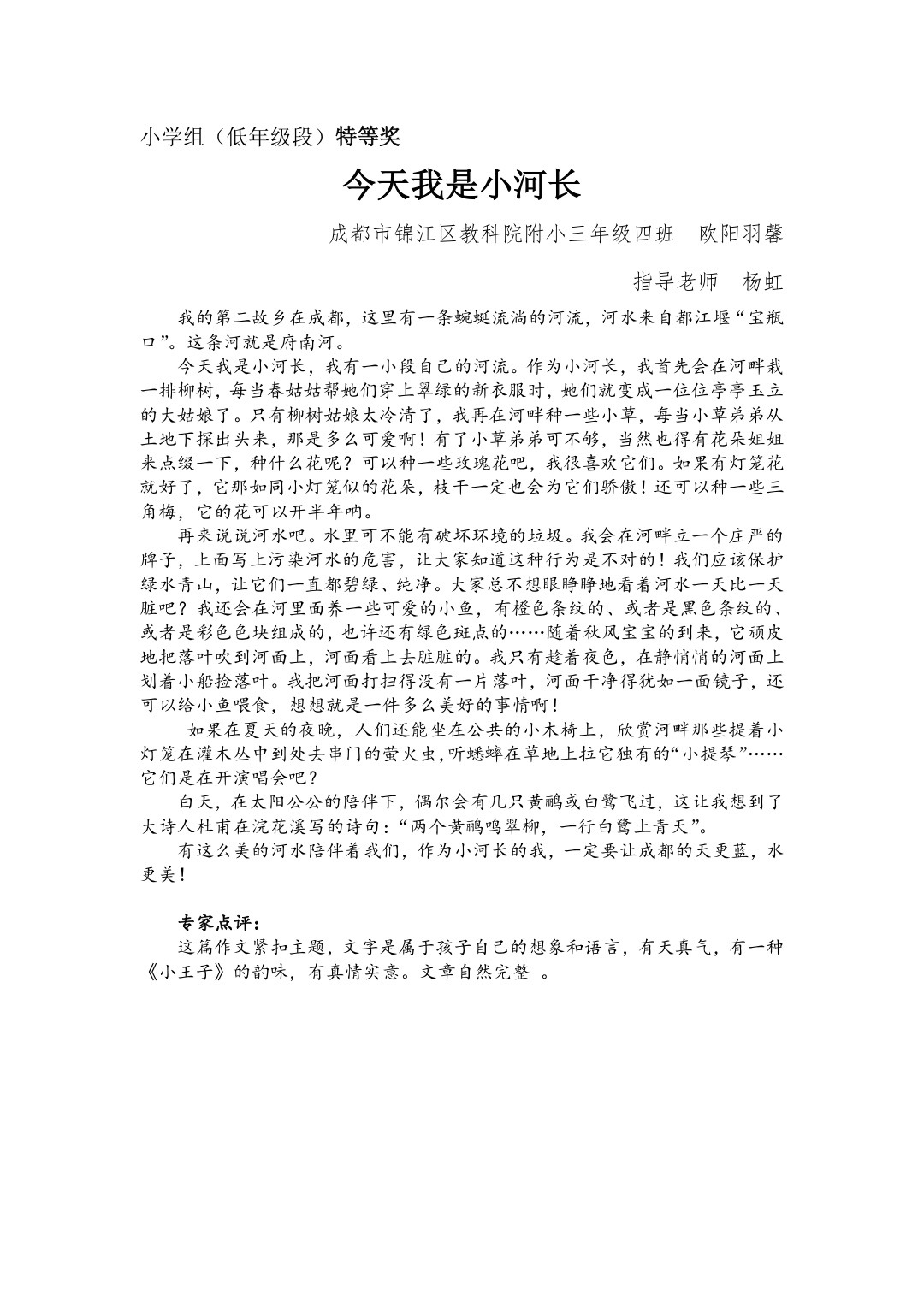 今天我是小河长(特等奖)